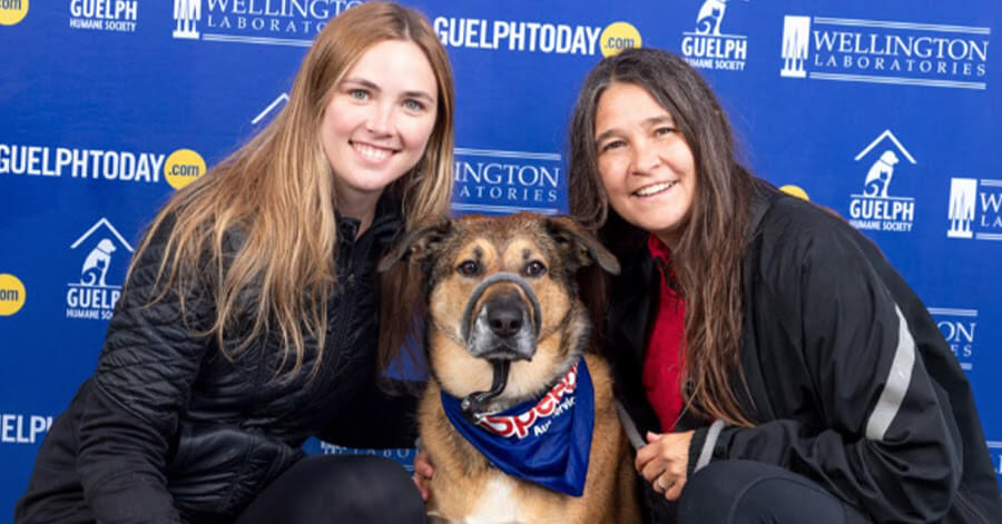 Animal lovers attended the second annual Happy Trails Walk-a-thon in support of Guelph Humane Society, sponsored by GuelphToday / Joel Robertson Photography