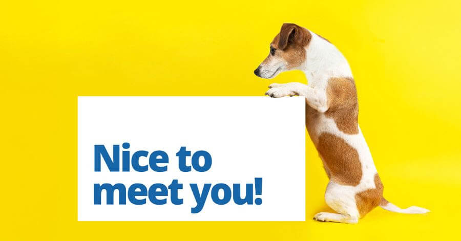 A dog with a "Nice to meet you!" sign